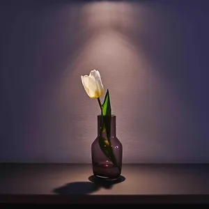 https://studio-feuerfest.hamburg-hotels-de.com